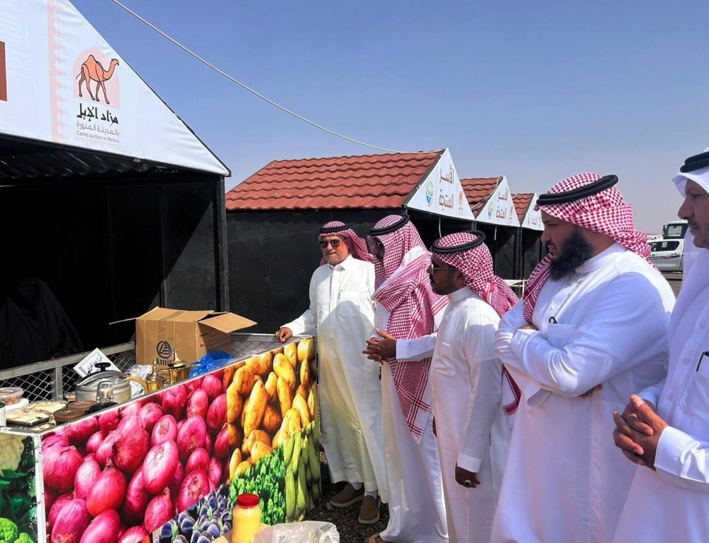 انطلاق مزاد المدينة المنورة الأول للإبل بمحافظة الحناكية - واس