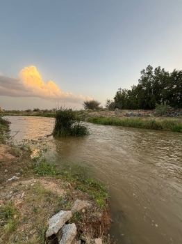 ​​​​​​​مشروع بحثي يستكشف التنوع البيولوجي في وادي العرج بالطائف