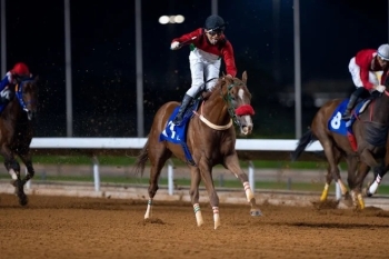 برعاية أمير منطقة الرياض .. نادي سباقات الخيل ينظم كأس الأمير محمد بن سعود الكبير