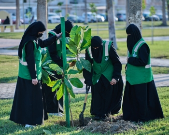 مبادرة 