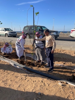 جهود التشجير في رابغ - اليوم 