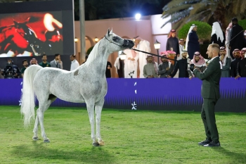  مهرجان الأمير سلطان بن عبدالعزيز العالمي للجواد العربي