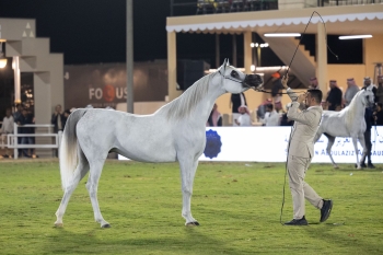 مهرجان الأمير سلطان بن عبدالعزيز العالمي للجواد العربي
