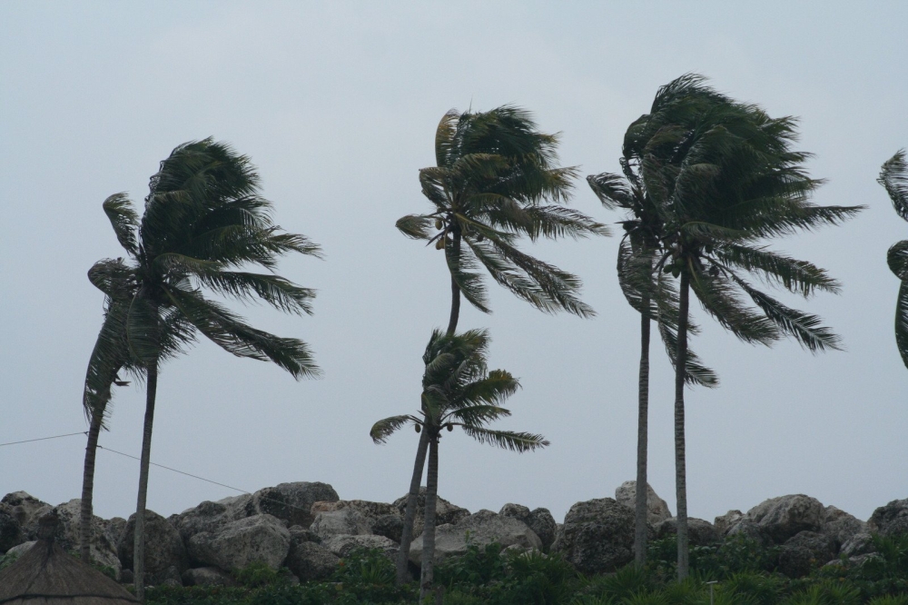 Severe winds on the eastern on parts of the eastern region - agencies