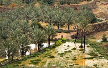 هطول أمطار غزيرة على المدينة المنورة- واس