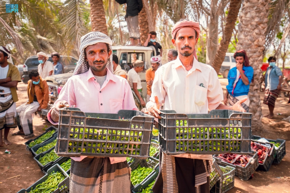 البرنامج السعودي لتنمية وإعمار اليمن - واس