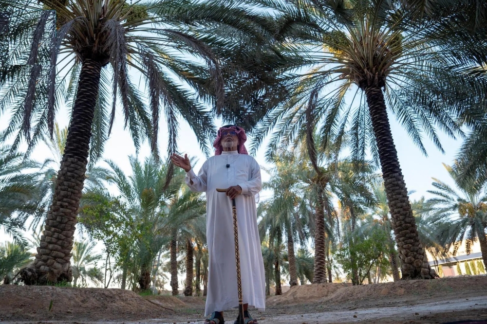 بواكير موسم التمور بشرى اقتصادية لأهالي الجوف - واس
