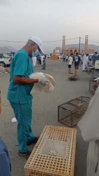 ورشة إرشادية عن الأمراض المشتركة بين الطيور والإنسان
