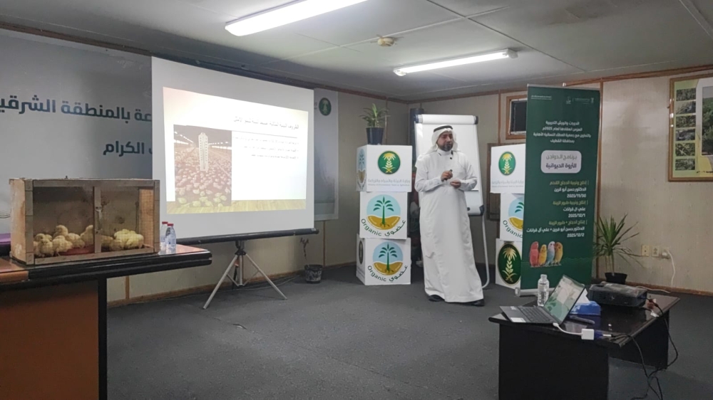 إطلاق برنامج لتوطين تقنيات «الدجاج اللاحم» بالشرقية - اليوم