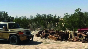 حطب محلي معروض للبيع (اليوم)