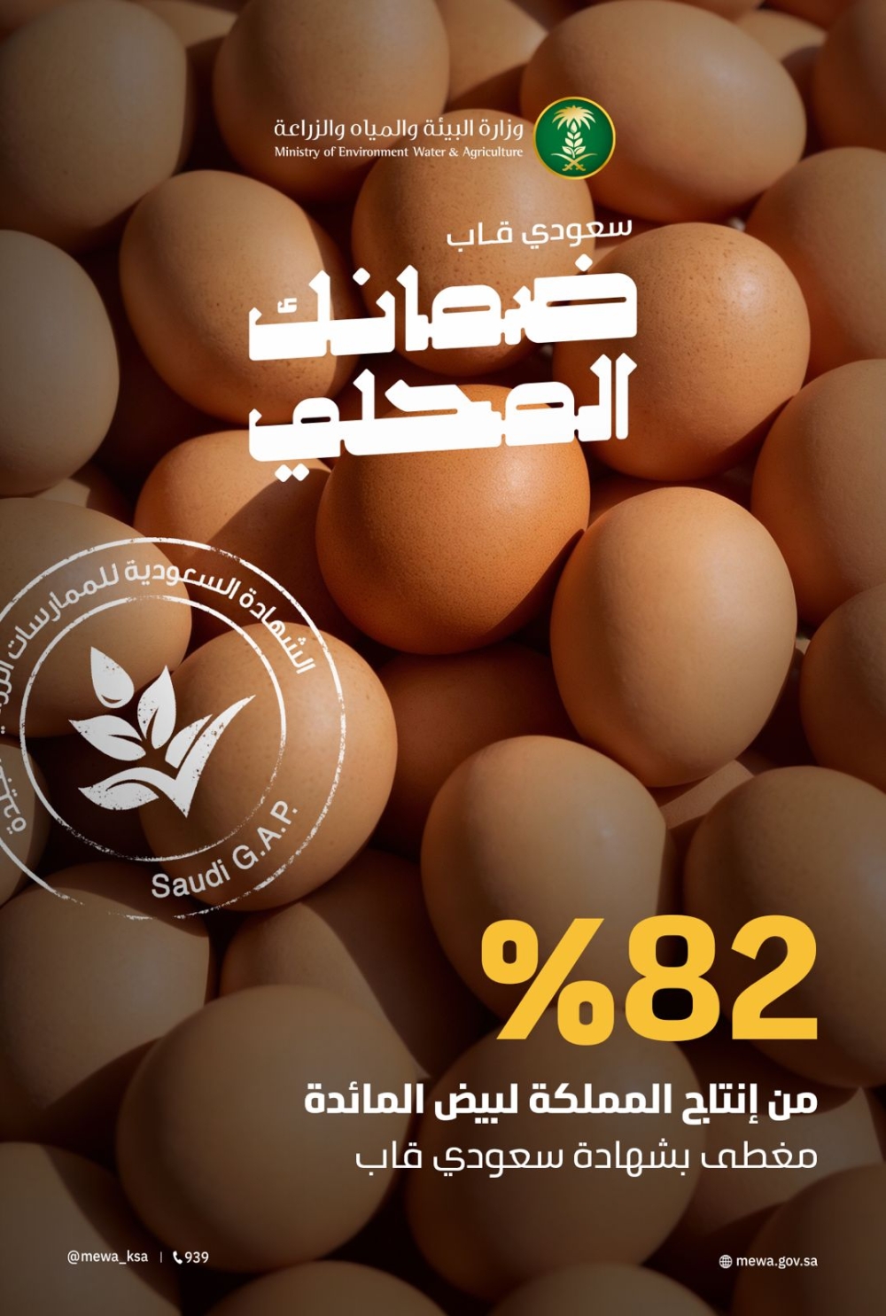 المملكة تكسر حاجز 8,4 مليار بيضة ومعايير «سعودي قاب» تضبط جودة الأسواق