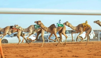 مهرجان خادم الحرمين الشريفين للهجن 2026