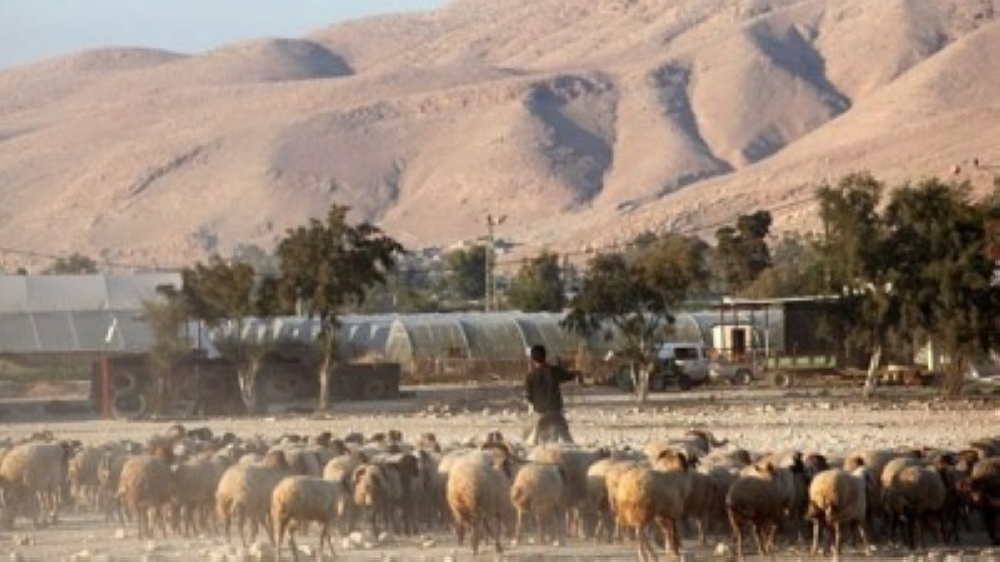 الاحتلال الإسرائيلي يعتقل شخصين من جنوب سوريا خلال رعيهما للأغنام - وكالات 