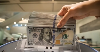 استقرار سعر الدولار مقابل الجنيه اليوم الأحد في البنوك المصرية