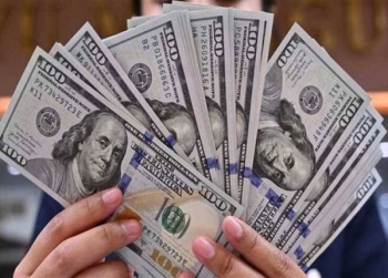 استقرار سعر الدولار مقابل الجنيه المصري في مستهل تعاملات البنوك اليوم الثلاثاء - وكالات