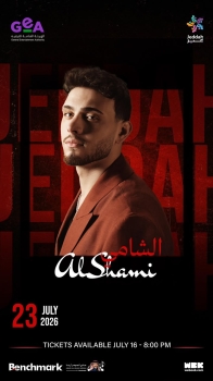 الفنان السوري الشامي
