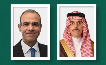 وزير الخارجية يبحث مستجدات الأوضاع في المنطقة مع نظيره المصري
