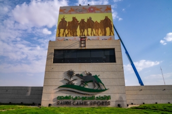  مهرجان ولي العهد للهجن 2026