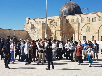 عشرات المستعمرين يقتحمون المسجد الأقصى - وكالات