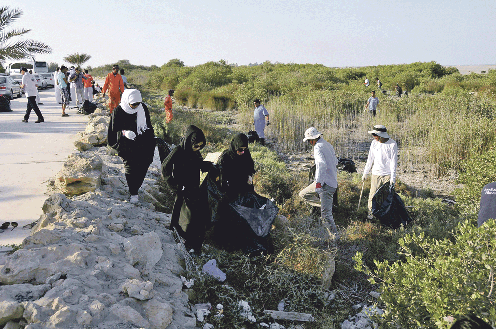 حملات مستمرة لحماية أشجار المانجروف من التلوث ( اليوم)