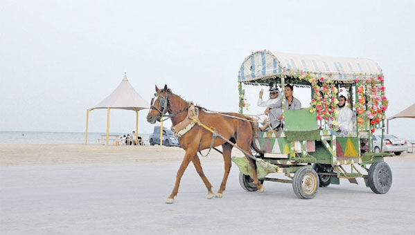  عربة الخيل تتجول بالشاطئ