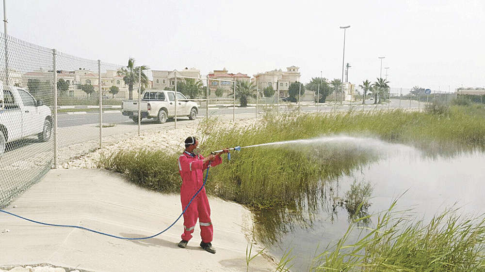 عامل يقوم برش المبيدات (اليوم)