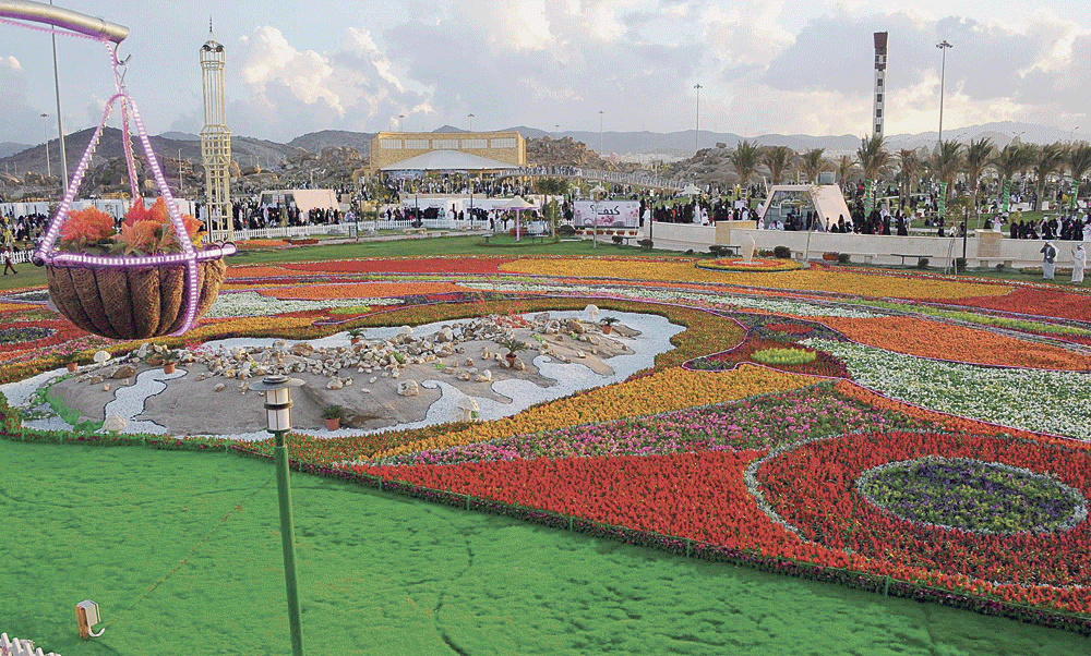 السجادة لوحة طبيعية تميز الطائف (واس)