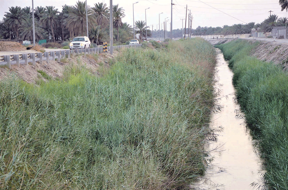 المصرف الزراعي بحاجة إلى تغطية (تصوير: حمزة بوفهيد)