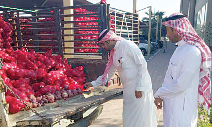 معاينة كمية البصل الفاسدة 