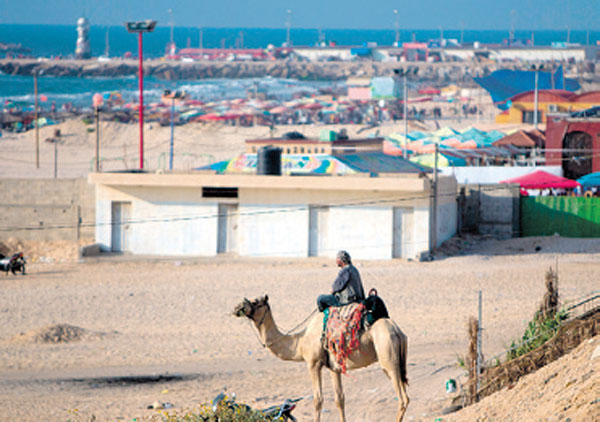 فلسطيني على راحلته في رفح 