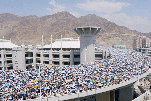 خلو حج العام من الأمراض الوبائية
