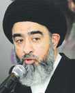 حسن النمر 